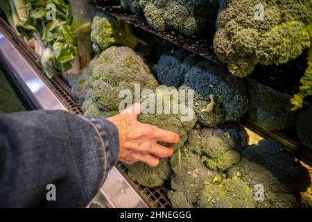 A shopper chooses broccoli crowns in a supermarket in New York on Friday, February 11, 2022. Americans are encountering the highest inflation rate in 40 years, consumer  prices have risen by 7.5 percent over the last year. (© Richard B. Levine) Stock Photo