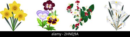 The flowers is blooming in Winter-Daffodil,Pansy,Winterberry,Glory of the snow(Chionodoxa) Stock Vector