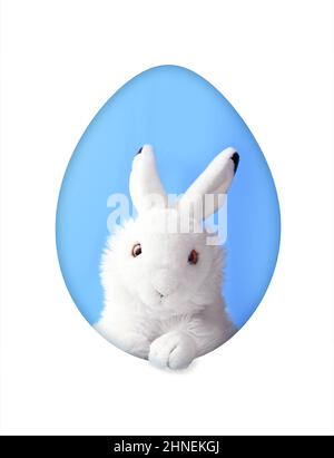 White easter rabbit with sheet for a text writing. Easter concept. Easter bunny. Stock Photo