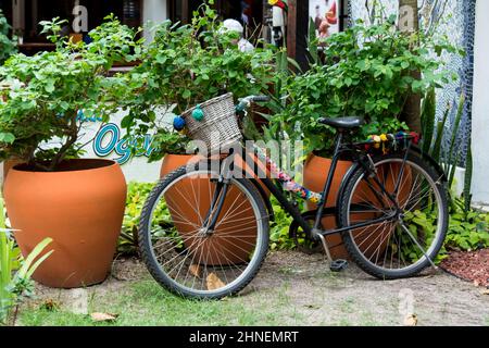 A bicycle against a background of plant and colorful flowers. Mata de Sao Joao, Bahia, Brazil. Stock Photo