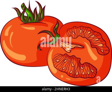 Whole and half tomato Stock Vector