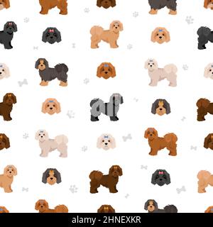 Russian tsvetnaja bolonka seamless pattern. Different poses, coat colors set.  Vector illustration Stock Vector