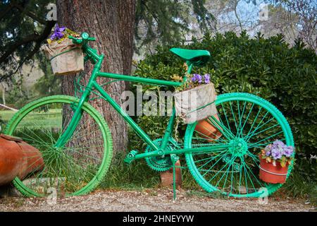 Bicycle painted green carrying potted flowers. Horizontal photography. Stock Photo