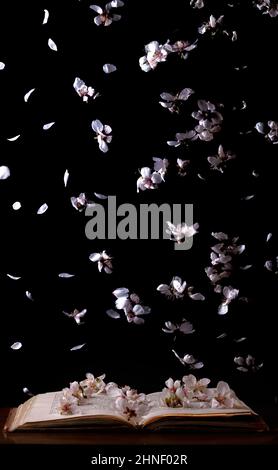 Old book on which a rain of white flowers falls. Vertical photography. Stock Photo