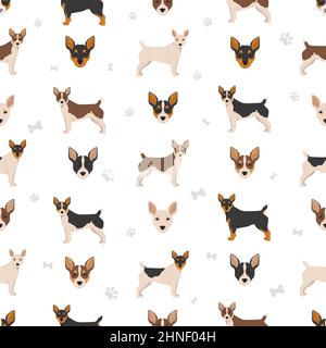 Teddy Roosevelt terrier seamless pattern. Different poses, coat colors set.  Vector illustration Stock Vector