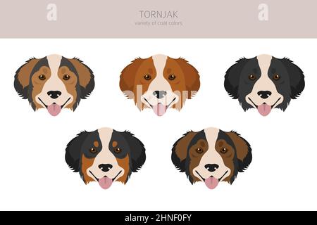 Tornjak clipart. Different poses, coat colors set.  Vector illustration Stock Vector