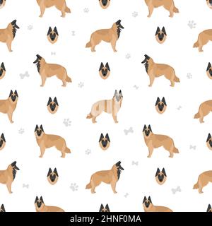 Belgian Tervuren seamless pattern. Different poses, coat colors set.  Vector illustration Stock Vector