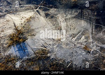 Ice patterns on a frozen pool near Holborn Head, Scrabster, near Thurso, Caithness, Scotland, UK. Stock Photo