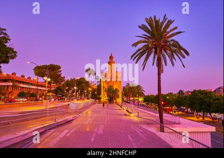 The evening walk along Guadalquivir River bank  with a view of Torre del Oro tower, tall palms and green park, Seville, Spain Stock Photo