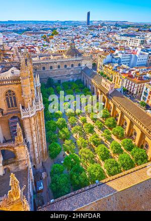 The top view from Giralda Tower on Patio de los Naranjos (Orange Trees Garden), located in the courtyard of Seville Cathedral, Spain Stock Photo