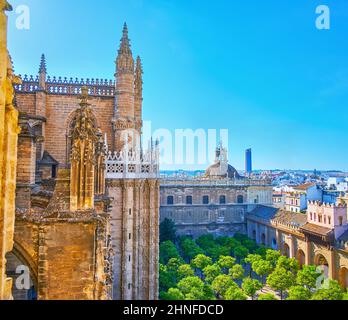 The top view of the Orange Trees Garden in court of Seville Cathedral with its ornate Gothic wall in the foreground, Spain Stock Photo