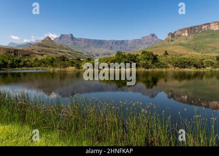 Amphitheatre, Drakensberg, Thendele, Royal Natal National Park, KwaZulu Natal, South Africa Stock Photo