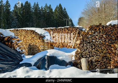Snow-covered wood piles near Hellengerst, Allgaeu, Bavaria, Germany Stock Photo