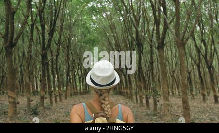 The traveler walks between trees plantation agriculture of asia for natural latex extraction milk in traditional. Young blonde woman with plait in hat walks to rubber tree. Stock Photo