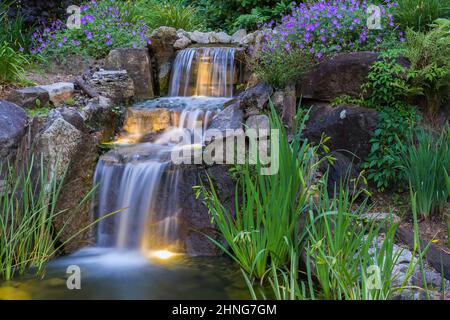 Cascading waterfall borderd by Geranium 'Rozanne' - Cranesbill flowers and Acorus gramineus 'Variegatus' - Variegated Japanese Rush, Iris pseudacorus. Stock Photo