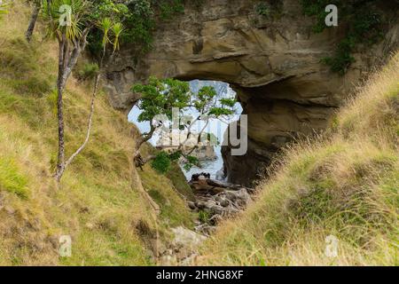 Blue water of Tolaga Bay through Hole in the Wall tourist destination and landmark on East Coast New Zealand. Stock Photo