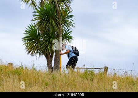Tolaga Bay New Zealand - February 6 2022; Tourist climbs style on fence by cabbage tree on walk to Cook's Cove Stock Photo