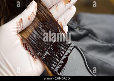 Young female hairdressed hands dyeing long hair to beautiful girl. Barber hair dye is applied with a brush Stock Photo