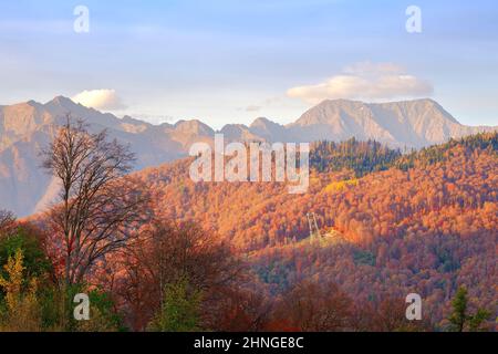 Silhouettes of autumn trees against the background of golden mountains under a cloudy sky. Rosa Khutor, Sochi, Russia, 2021 Stock Photo