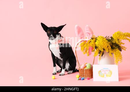 Cute dog with Easter eggs, greeting card and mimosa flowers in vase on pink background Stock Photo