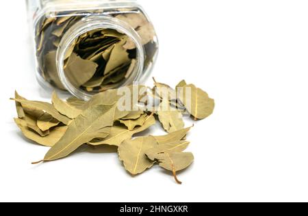 Close-up bay leaves spread out of cleared plastic packaging on white background. Stock Photo