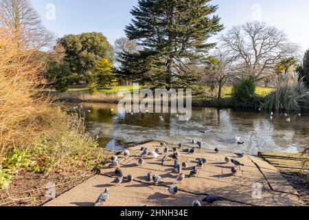 Hammersmith & Acton Vale Local Area Photography Stock Photo