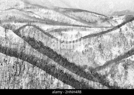 Japan winter landscape, hill with trees and snow. Rausu is mountain located in Menashi District, Nemuro Subprefecture, Hokkaido. Beautiful winter land Stock Photo
