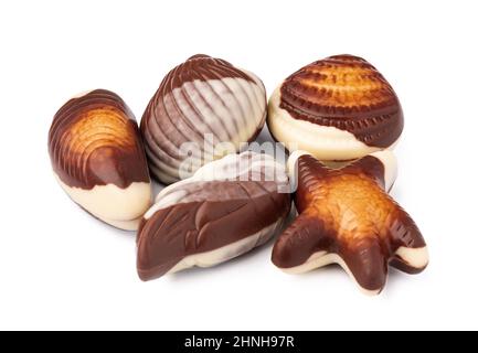 Chocolate sweets shaped as seashells isolated on white background Stock Photo