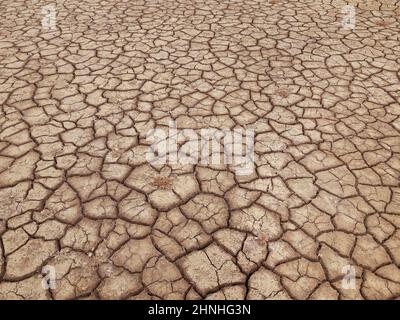 Dry cracked soil texture. Arid natural background. Stock Photo