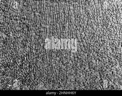 Texture broken glass with cracks. Abstract of cracked screen Smartphone from shock Stock Photo