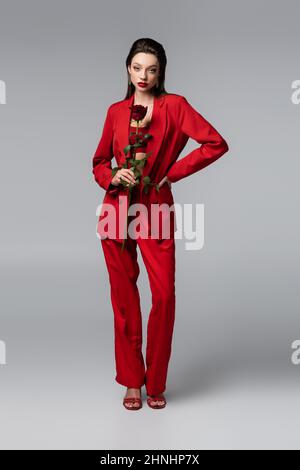 full length of young woman in trendy red suit holding rose while standing with hand on hip on dark grey Stock Photo