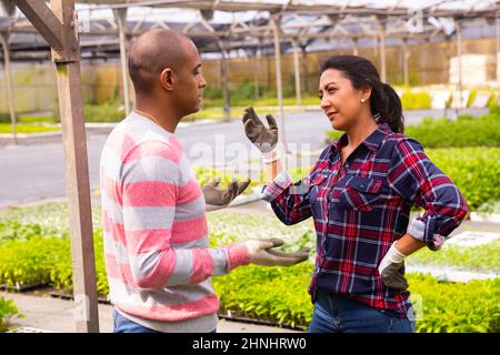 Two latino garden workers discussing working process Stock Photo