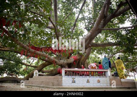 Kailashahar, India - January 23 2022 : 14 God's temple at Kailashahar, Tripura Stock Photo