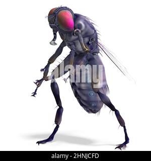 3d-illustration of an isolated terrible blue huge fly Stock Photo