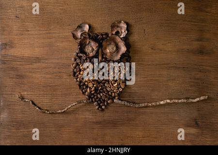 Cute owl shape from coffee beans and spices. Owl sitting on the branch over wooden background. Funny mystery coffee concept Stock Photo