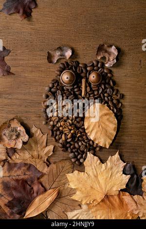 Cute owl shape from coffee beans and spices. Owl sit on the branch with coffee cup and autumn leaves over wooden background. Funny mystery coffee conc Stock Photo