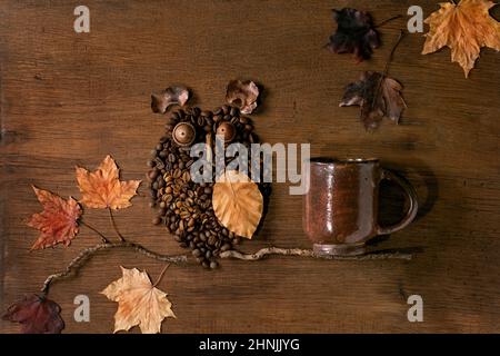 Owl shape from coffee beans and spices. Owl sit on the branch with coffee cup and autumn leaves over wooden background. Funny autumn mystery coffee co Stock Photo