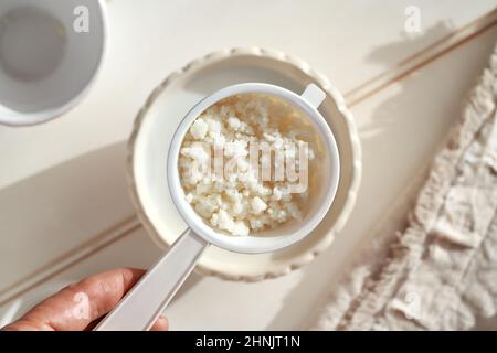 Kefir grains in a white strainer - preparation of a homemade probiotic drink, top view Stock Photo