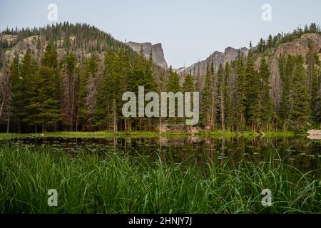 Tall Grass On the Edge of Nymph Lake In Rocky Mountain National Park Stock Photo