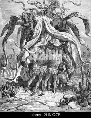 Giant Carnivorous Plant, Cannibal Tree, Monster Triffid, Anthropophage,  Anthropophagus or Human-Eating Tree in Africa. Vintage Illustration or  Engraving 1878 (Castelli Stock Photo - Alamy