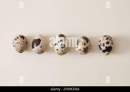 Row of small speckled quail eggs on a white background with copy space conceptual of Easter Stock Photo