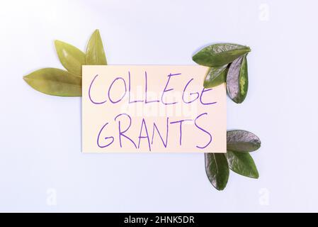 Conceptual display College Grants, Word Written on monetary gifts to showing who are pursuing higher education Nature Theme Presentation Ideas And Des Stock Photo