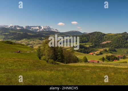 Green mountainous landscape in the Appenzeller Alps in Switzerland