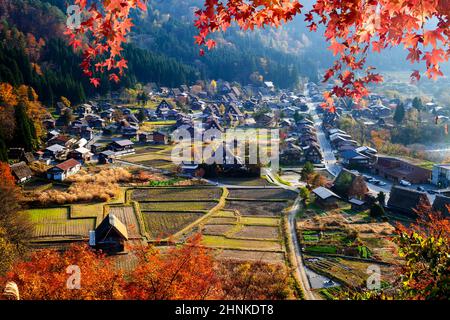 Gassho Village during maple season, Gassho Village, Japan Stock Photo