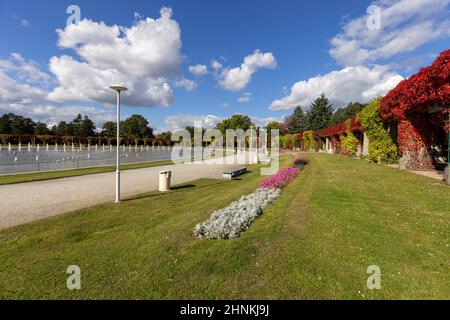 Szczytnicki Park and Wroclaw Pergola with colorful leaves of virginia creeper, Wroclaw, Poland Stock Photo