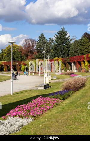 Szczytnicki Park and Wroclaw Pergola with colorful leaves of virginia creeper, Wroclaw, Poland Stock Photo