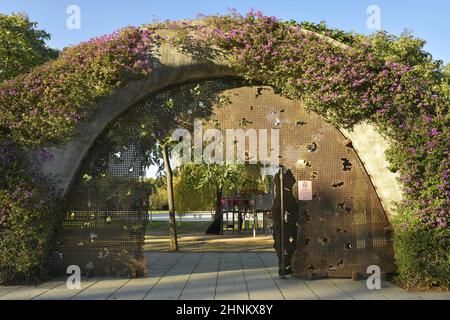 Floral iron gate, entrance into Poblenou Central Park in Sant Marti district of Barcelona Spain. Stock Photo