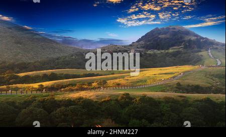 The natural source of alpine grasses is at Shangshan in Taipei City, Taipei City, Taiwan Stock Photo