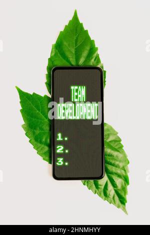 Text caption presenting Team Development, Business showcase learn why and how small groups change over time with graphs Saving Environment Ideas And P Stock Photo