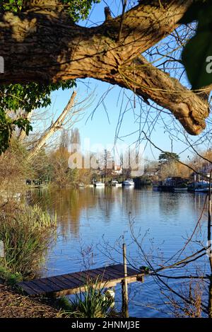 The riverside at Shepperton on a cold and sunny winters day Surrey England UK Stock Photo